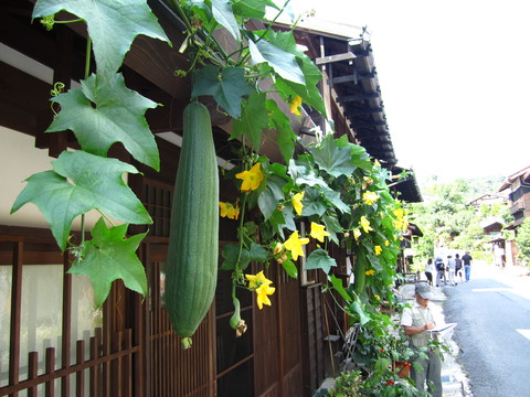 d0156386_19571221.jpg
