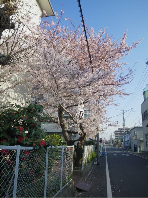 b0062687_11451524.jpg