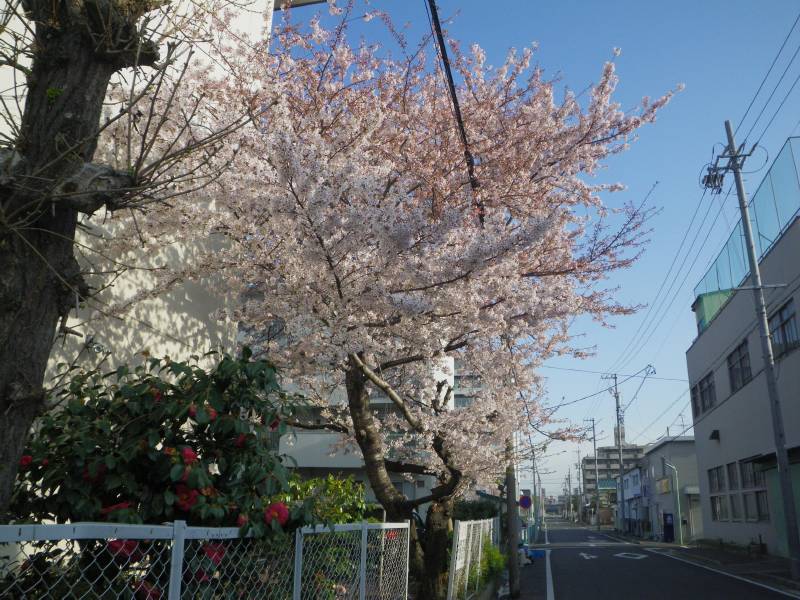 b0062687_11452093.jpg