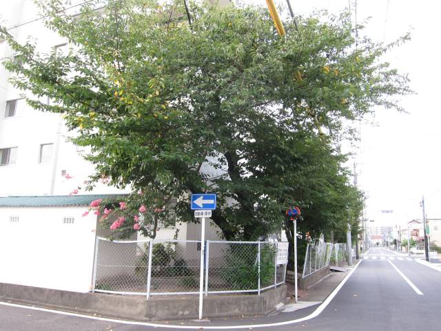 b0062687_11474119.jpg