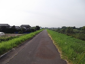 f0235289_8405358.jpg
