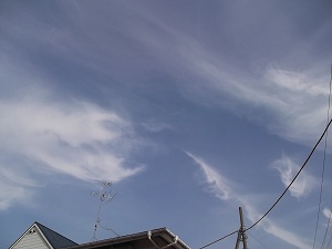 f0235289_8421649.jpg