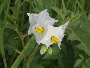 f0235289_8425876.jpg