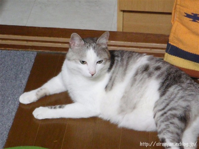 a0159490_13101069.jpg