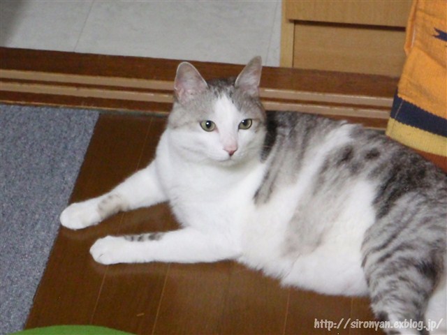 a0159490_131054.jpg