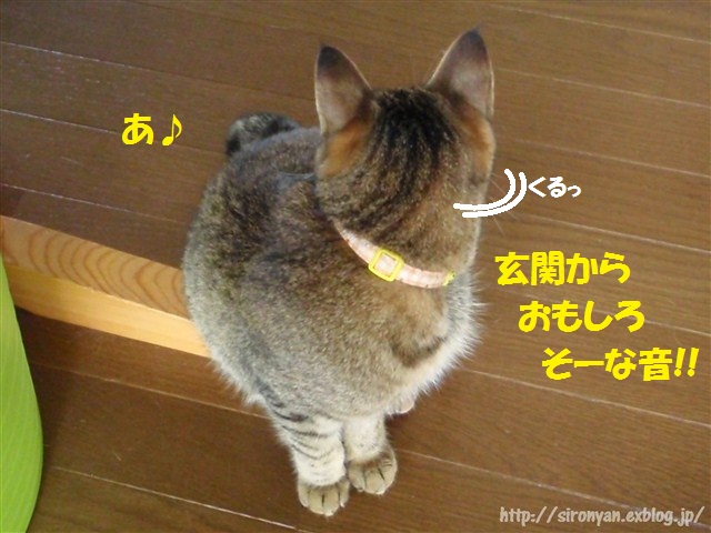 a0159490_13303233.jpg