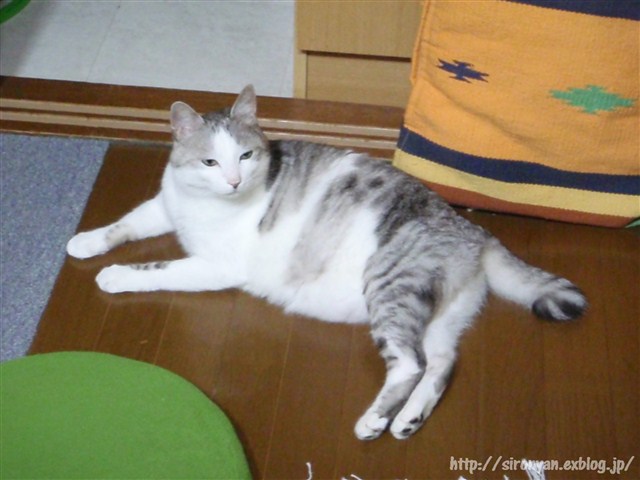 a0159490_1395728.jpg