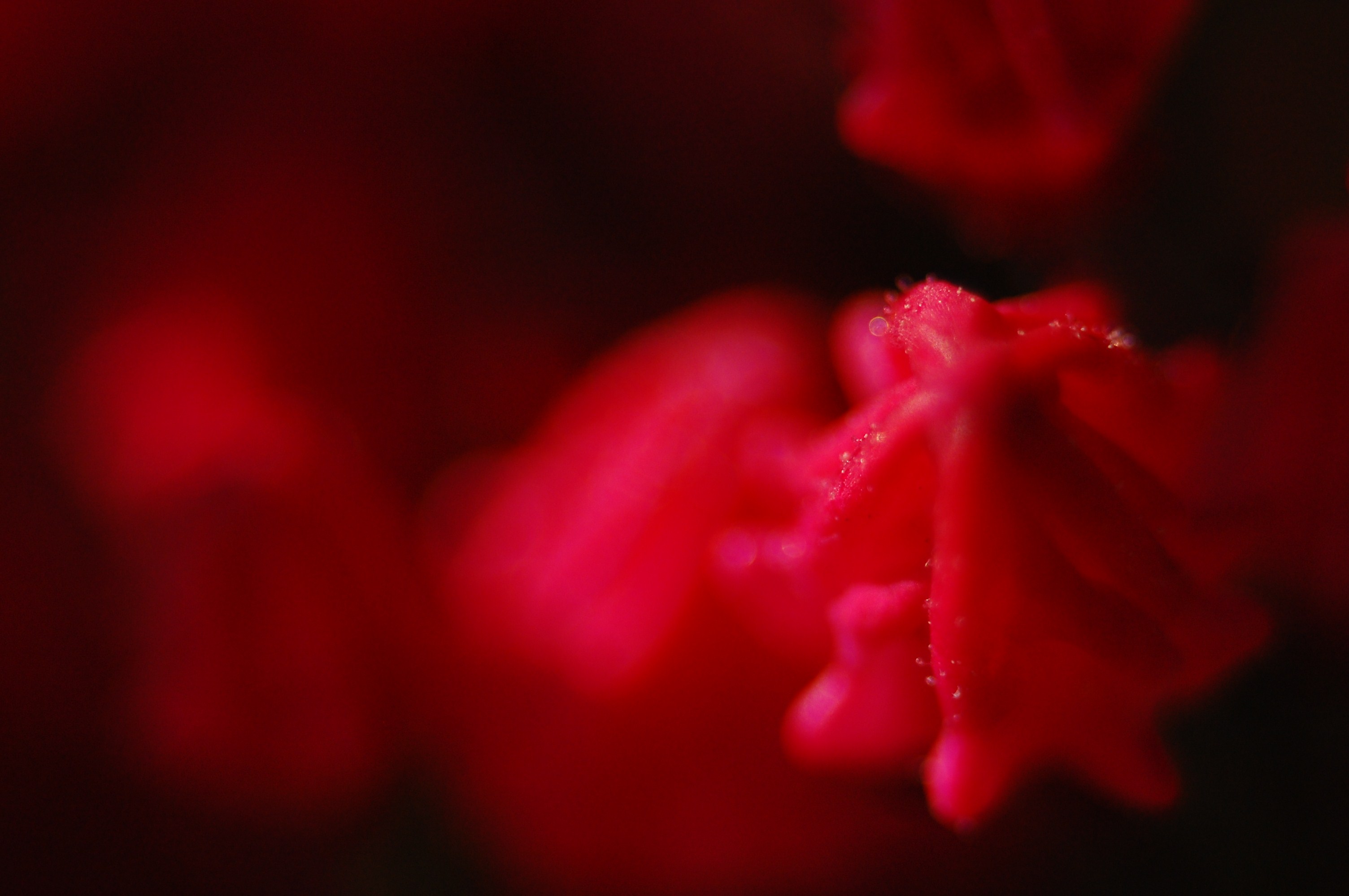 c0246290_23515349.jpg