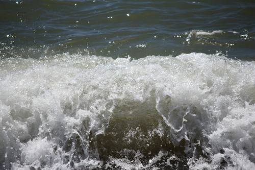 a0234491_2336576.jpg
