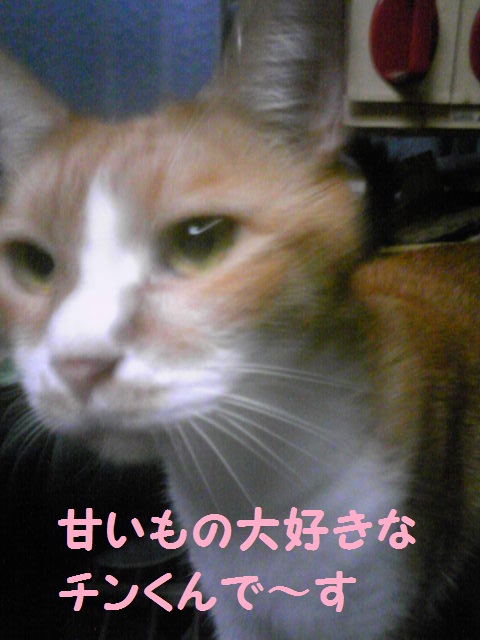 a0232197_19323639.jpg