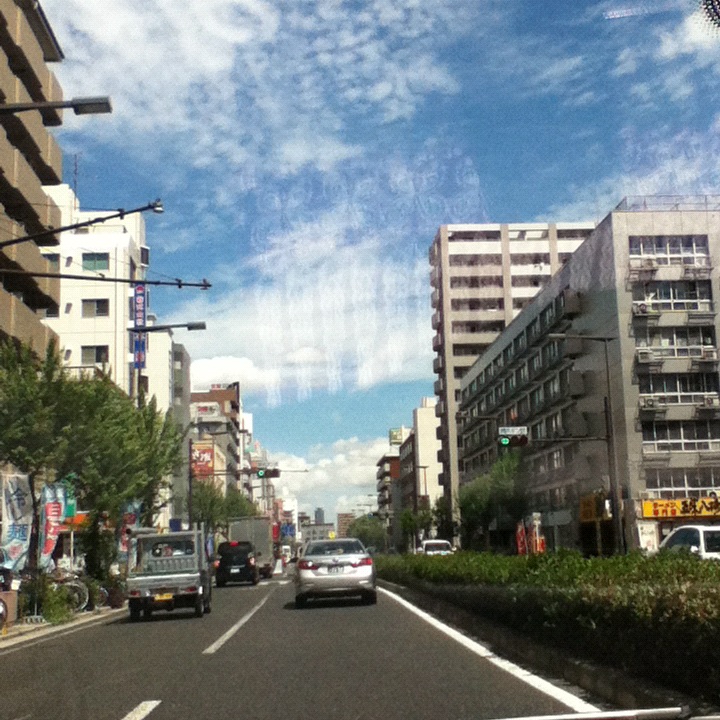 d0172199_15561935.jpg