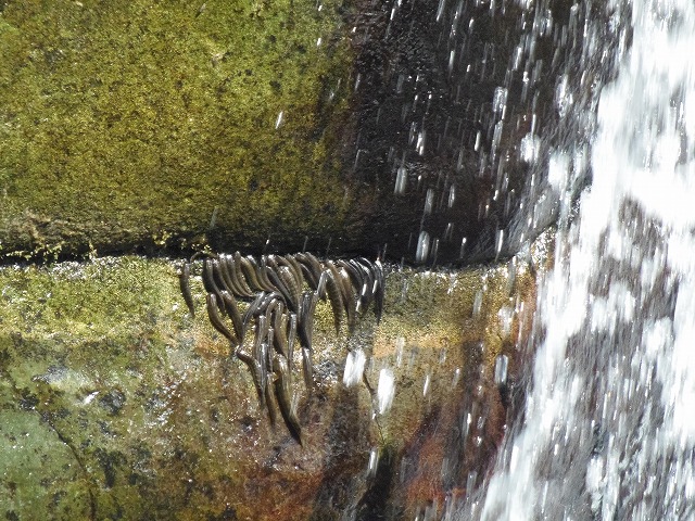 c0125501_915052.jpg