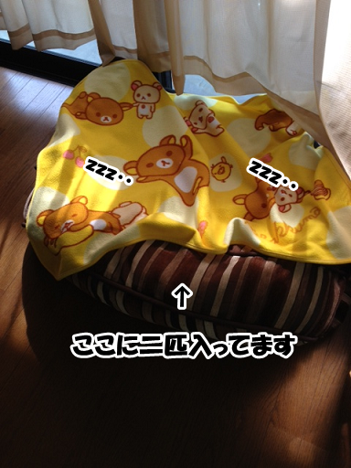 e0290901_20393536.png