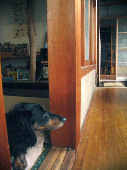 d0077603_901772.jpg