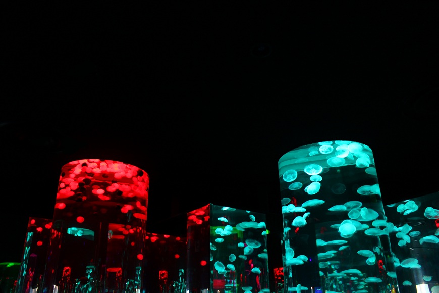 a0283906_19523171.jpg