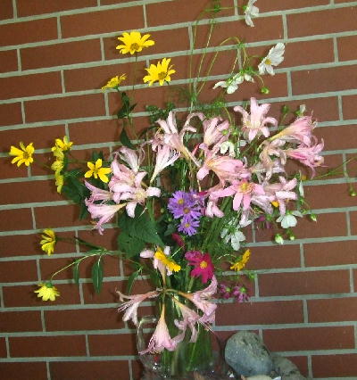 f0161708_21124355.jpg