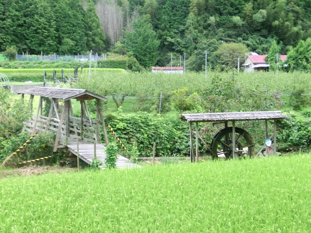 d0237309_21591436.jpg
