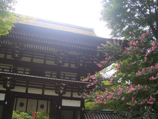 e0033713_17202239.jpg