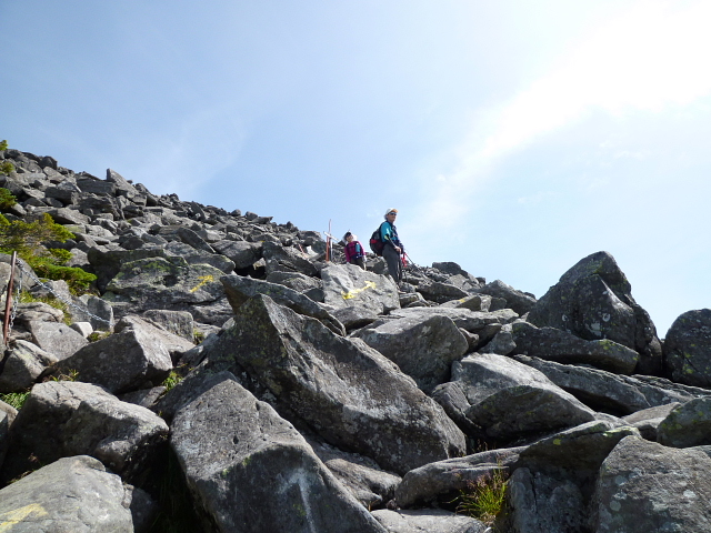 d0170615_9353318.jpg