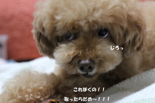 b0197418_1918318.jpg