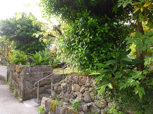 f0031420_101433.jpg