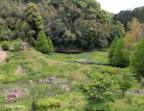 c0071221_17581.jpg