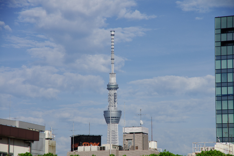 d0250028_45770.jpg