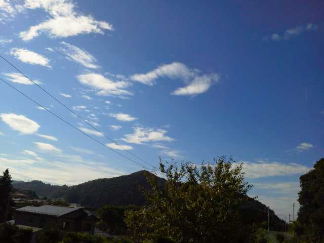 d0127533_13361130.jpg