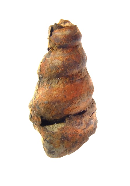 e0290546_15485364.jpg