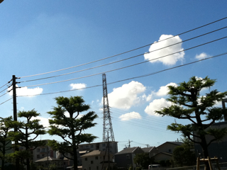 f0179947_234995.jpg