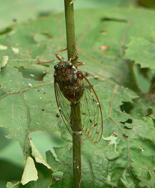 d0091754_19501428.jpg