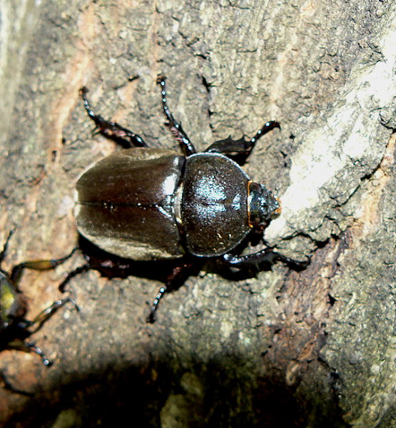 d0091754_2095679.jpg