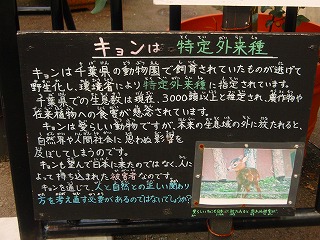 e0004756_21433080.jpg