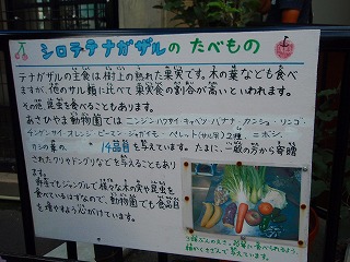 e0004756_21435432.jpg