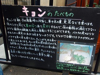 e0004756_21441594.jpg