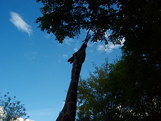 e0004756_223434.jpg