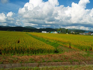 e0004756_226481.jpg