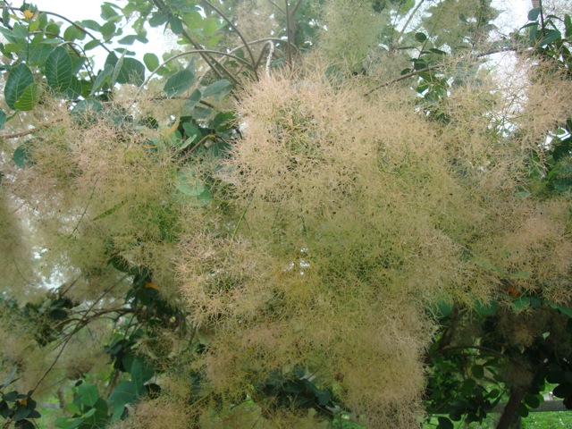 f0198556_76574.jpg