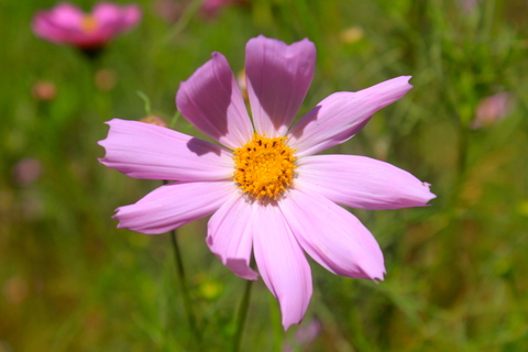 a0248459_16204960.jpg
