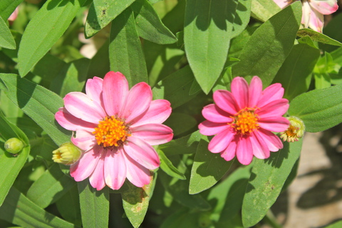 a0248459_16224690.jpg