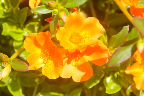 a0248459_1623170.jpg