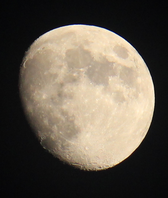 a0248459_641067.jpg