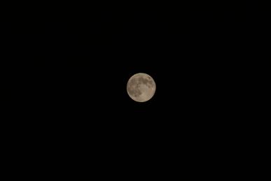 c0221262_1375722.jpg