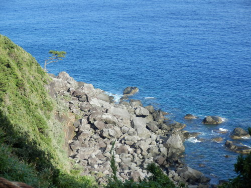 e0292172_2056173.jpg