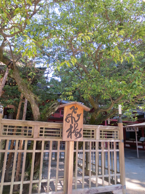 e0212073_23323219.jpg