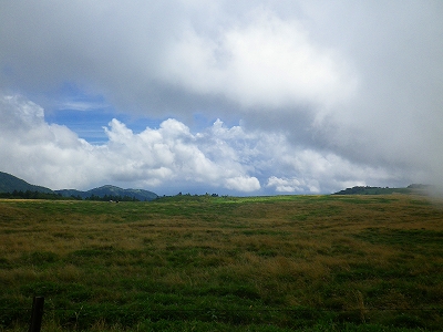 f0182173_1927961.jpg