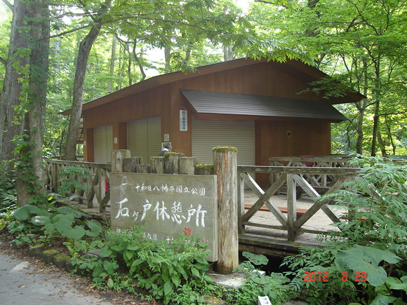 a0188775_12171619.jpg