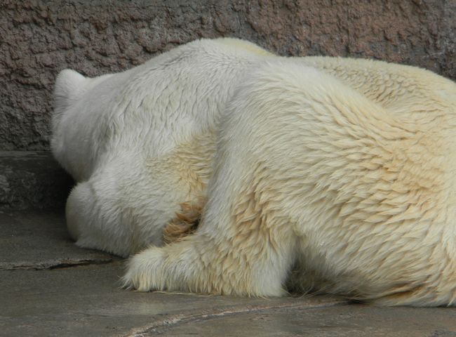 b0014576_772755.jpg
