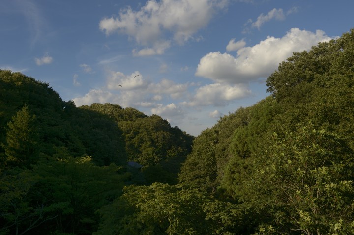b0102780_236467.jpg