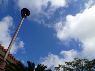 d0240983_1758883.jpg